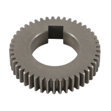 Spur Gear