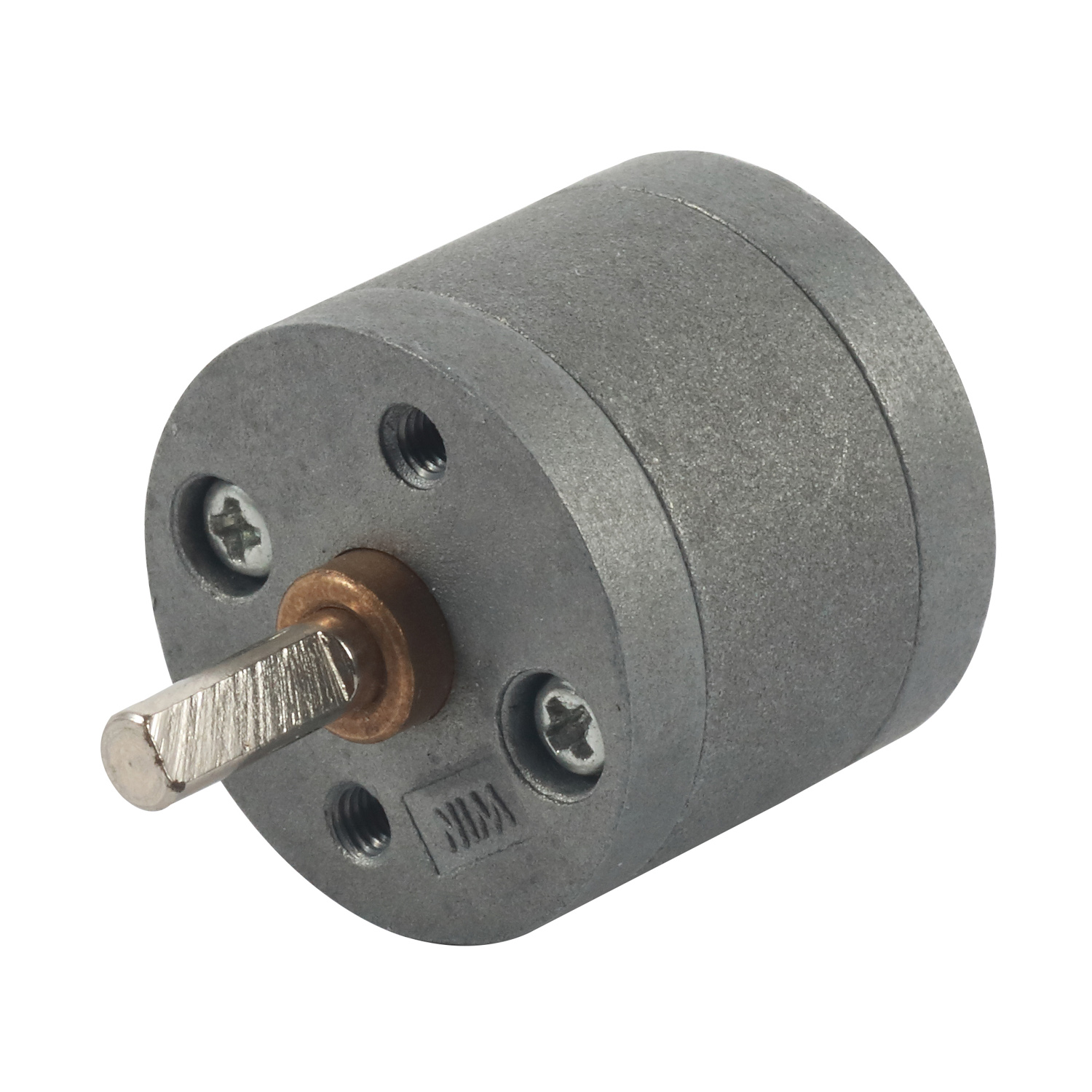 China Small DC Motor With Gearbox